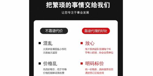 商務代理代辦服務 企業(yè)高效運營的加速器